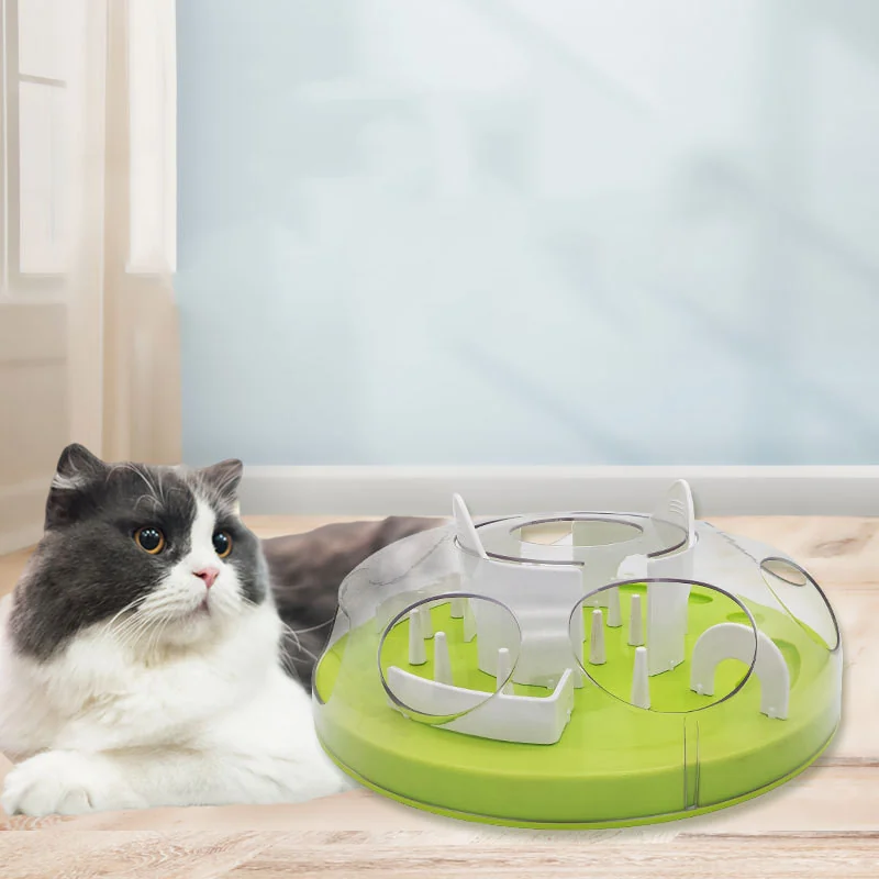 Cat lying beside the treat puzzle feeder