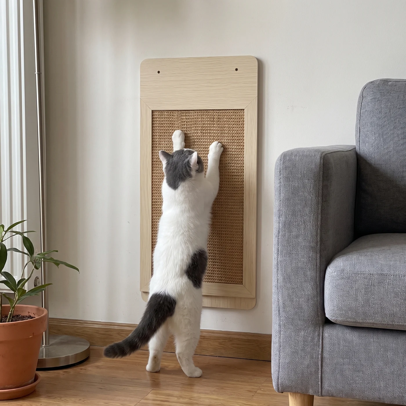 The Territory Panel, wall-mounted sisal scratcher, part of The Save My Sofa Kit