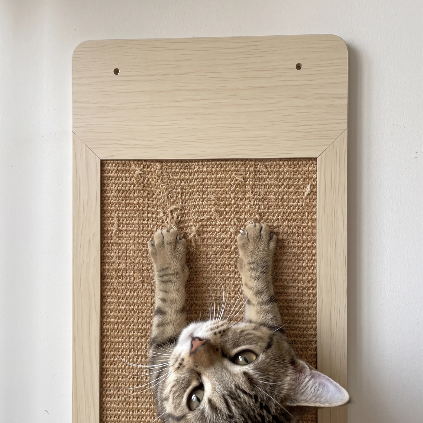 Cat claws digging into the woven sisal of a wall-mounted cat scratching board with a wood frame