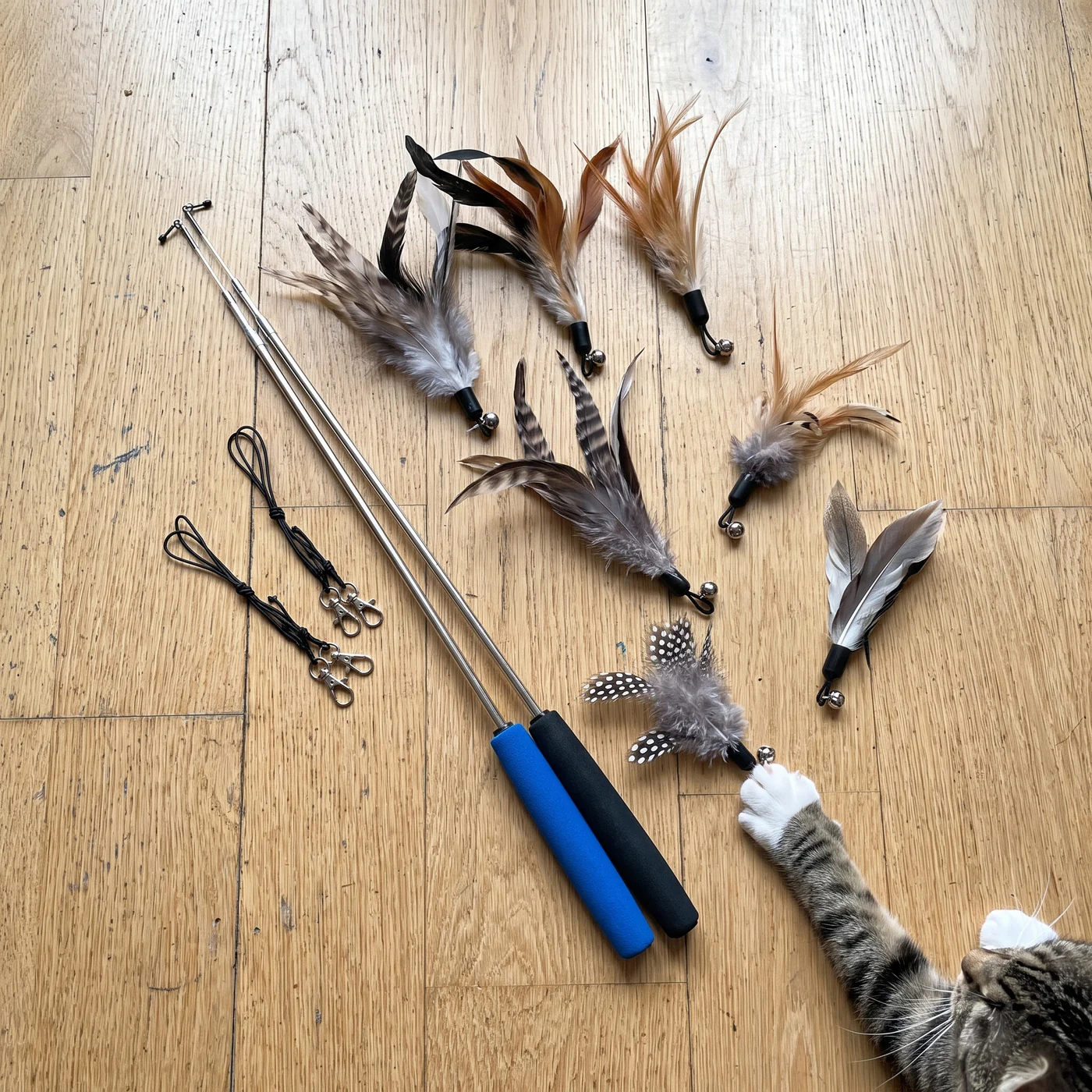 Cat wand toy set laid out: 2 wands, 8 natural feather refills with bells and 2 spare strings